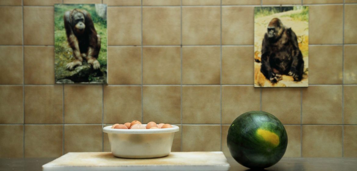 Mariya Boyanova Fotografie Foto-Projekt Mensch und Natur Zoo Affen Melone Eier